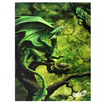Forest Dragon Canvas - Anne Stokes